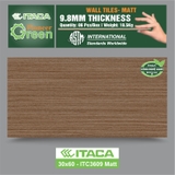 GẠCH ỐP ITACA ITC3609 Matt