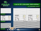 GẠCH ỐP CERAMIC MEN BÓNG
