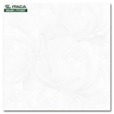 GẠCH LÁT ITACA ITC607