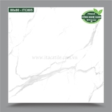 GẠCH LÁT ITACA ITC805