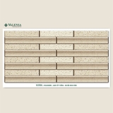 GẠCH ỐP TRANG TRÍ: VL2504