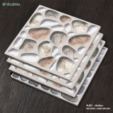 Gạch Trang trí: VL307