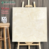 GẠCH LÁT NỀN 60X60: VL601