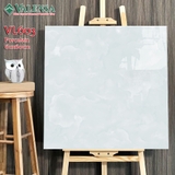 GẠCH LÁT NỀN 60X60: VL603