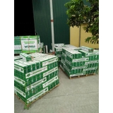 GẠCH CHÂN TƯỜNG 13X60: ITC1360.01