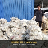 bán bát ren giá rẻ ở Hà Nội