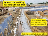 Bạt xanh cam giá bao nhiêu