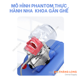 Đầu Phantom Thực Hành Nha Khoa Gắn Ghế