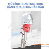 Đầu Phantom Thực Hành Nha Khoa Gắn Bàn