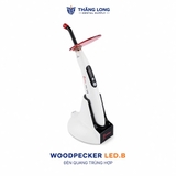 ĐÈN QUANG TRÙNG HỢP WOODPECKE LED B- HÀNG HÍNH HÃNG