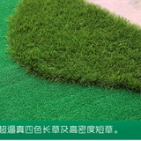 Thảm Tập Putting Golf Mô Phỏng Green 2mx5m - PGM Putting Green - GL010