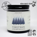 Forest Rain - Lương Quân