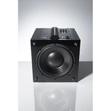 Loa AE 308 Subwoofer