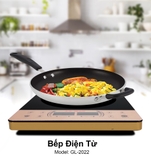 Bếp điện từ Gali 2022 sang trọng và hiện đại