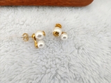 bong-tai-vong-co-hang-tory-burch-xuat-cho-nu