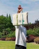 tui-tote-vai-canvas-starbucks-xuat