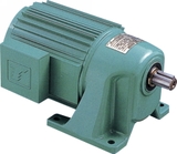 Động cơ giảm tốc Tsubki