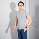 ÁO THUN NAM CỔ TRÒN TAY NGẮN MÀU XÁM XUẤT HÀN AT4317H