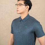 ÁO POLO THỂ THAO NAM CỔ TAY NGẮN XUẤT HÀN MÀU XÁM APL4423H2
