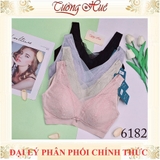 https://bizweb.dktcdn.net/100/217/291/products/6182-du-mau.jpg?v=1744687366920