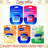 https://bizweb.dktcdn.net/100/217/291/products/vsl17.jpg?v=1745298694177