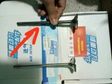 Intake Valve / Exhaust Valve