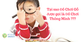 Tại sao Đồ Chơi Gỗ được gọi là Đồ Chơi Thông Minh ???