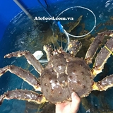 Mua cua hoàng đế