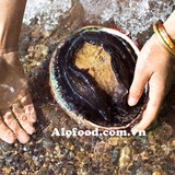bào ngư úc mua ở hà nội