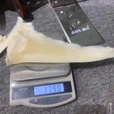 Vi Cá Nguyên Vi (Loại To 200g/vi ) Loại 1, vi cá, súp vi cá, vi cá khô, vi cá tươi, vi cá tước cước, giá vi cá, bán vi cá,