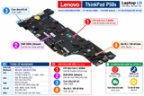 Tổng thể mainboard Lenovo ThinkPad P50s