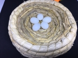 Trứng Bồ Câu bằng nhựa