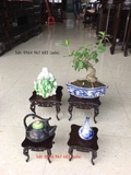 Văn kỉ móc mini 3