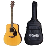 Dan guitar