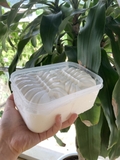 KEM KÝ HỘP VỊ KACAO - T1