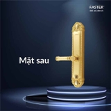 Khóa cửa đại sảnh Faster FS039-1 24K