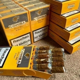 CIGAR COHIBA SHORT 10 (1 cây 10 gói)