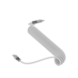 Dây sạc nhanh ô tô lò xò RECCI RS25