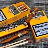 CIGAR COHIBA SHORT 10