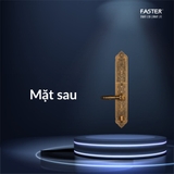 Khóa cửa đại sảnh Faster FS009 AC