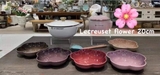 Set 5 đĩa hoa sâu lòng Le Creuset 20cm