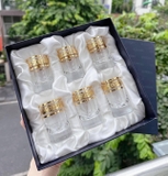Bộ 6 cốc Pha Lê mạ vàng Bohemia Versace dung tích 45 ml