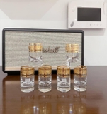 Bộ 6 cốc Pha Lê mạ vàng Bohemia Versace dung tích 45 ml