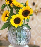 Lọ hoa pha lê Bohemia hình cầu M57 20cm