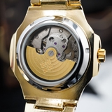 Đồng hồ đeo tay PATEK PHILLIPPE D110 Máy Cơ