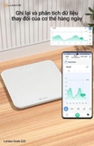 Cân điện tử Lumias Scale G25