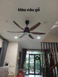 Quạt trần đèn CeilingFanking QT-001