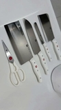 Bộ 6 Dao Zwilling Kèm Hộp Tiệt Trùng