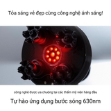 MÁY MASSAGE ĐẦU MYTREX HEAD SPA PRO