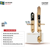 Khóa cửa đại sảnh Faster FS009 24K BRASS